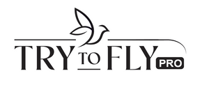 Try To Fly